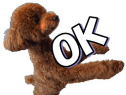 doggiesfan5 sticker #14584920