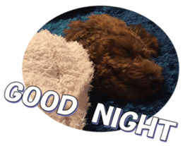 doggiesfan5 sticker #14584921