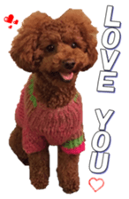 doggiesfan5 sticker #14584922