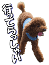 doggiesfan5 sticker #14584923