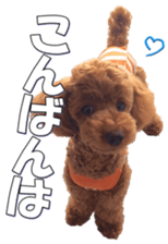 doggiesfan5 sticker #14584926