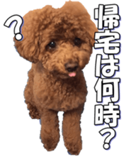 doggiesfan5 sticker #14584929