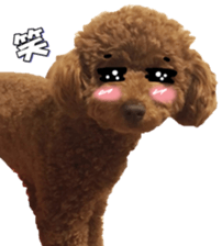 doggiesfan5 sticker #14584930