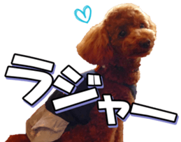 doggiesfan5 sticker #14584931