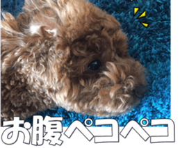 doggiesfan5 sticker #14584932