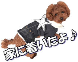 doggiesfan5 sticker #14584933