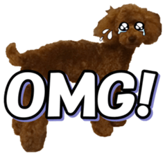 doggiesfan5 sticker #14584934