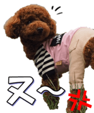 doggiesfan5 sticker #14584936