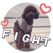 doggiesfan5 sticker #14584937