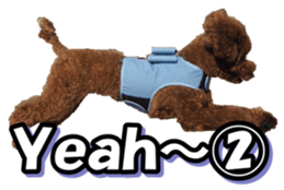 doggiesfan5 sticker #14584938