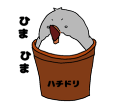 Bowl bird sticker #14585300