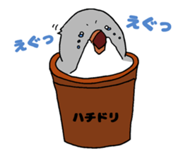 Bowl bird sticker #14585302
