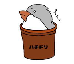 Bowl bird sticker #14585306