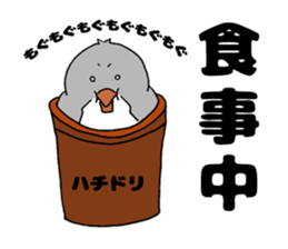 Bowl bird sticker #14585309