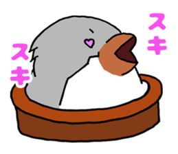 Bowl bird sticker #14585311
