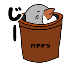 Bowl bird sticker #14585313