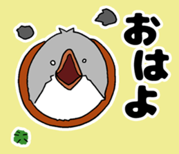 Bowl bird sticker #14585316