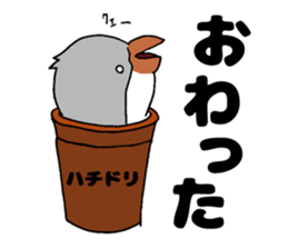 Bowl bird sticker #14585320