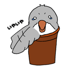 Bowl bird sticker #14585321