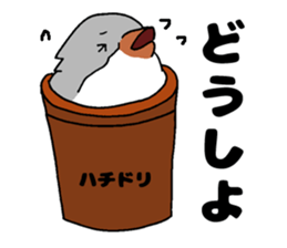 Bowl bird sticker #14585325