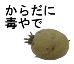 vegetables sticker 3 sticker #14585627