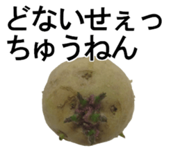 vegetables sticker 3 sticker #14585628