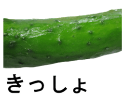 vegetables sticker 3 sticker #14585636