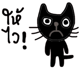 Black Cat, Dark Cat, Nice Cat sticker #14588721