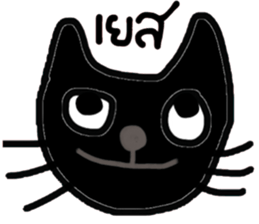 Black Cat, Dark Cat, Nice Cat sticker #14588727