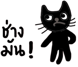 Black Cat, Dark Cat, Nice Cat sticker #14588736