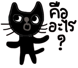 Black Cat, Dark Cat, Nice Cat sticker #14588742