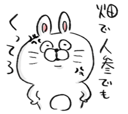 rabbit usata sticker #14590724