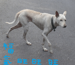 Farmers and peasants practical sticker #14591462