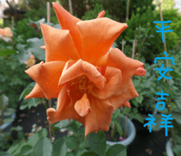 Farmers and peasants practical sticker #14591464