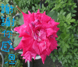 Farmers and peasants practical sticker #14591465