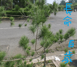 Farmers and peasants practical sticker #14591466