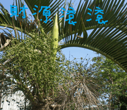 Farmers and peasants practical sticker #14591467