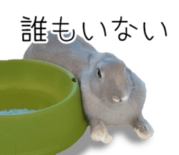 Rabbit House sticker #14591782