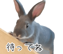 Rabbit House sticker #14591786