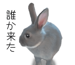 Rabbit House sticker #14591787