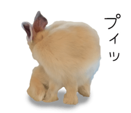 Rabbit House sticker #14591788