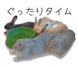 Rabbit House sticker #14591798