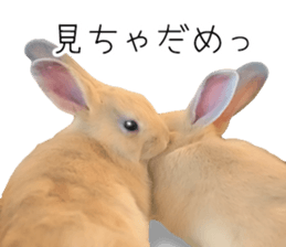 Rabbit House sticker #14591801