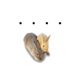 Rabbit House sticker #14591805