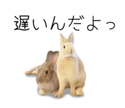 Rabbit House sticker #14591806