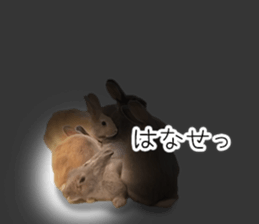 Rabbit House sticker #14591809