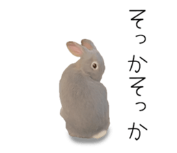 Rabbit House sticker #14591810