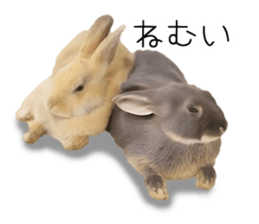 Rabbit House sticker #14591811