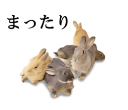 Rabbit House sticker #14591812