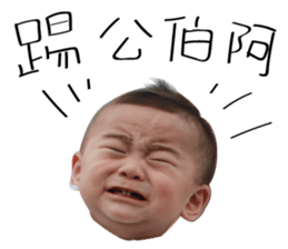 Little Peter 's Diary sticker #14591955